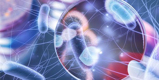 Why Antimicrobials Must Be Handled With Care