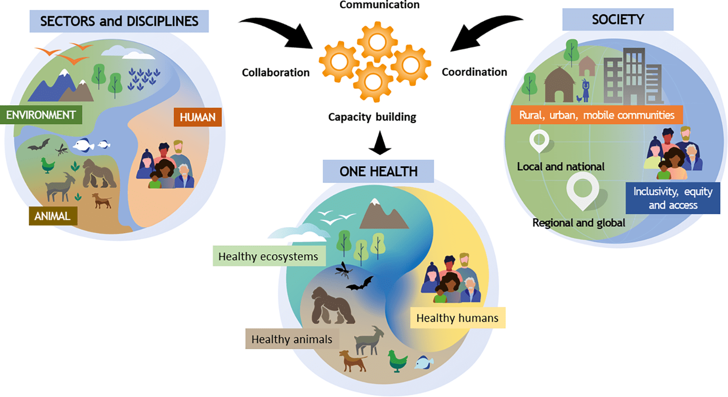 Antimicrobial Resistance blog graphics