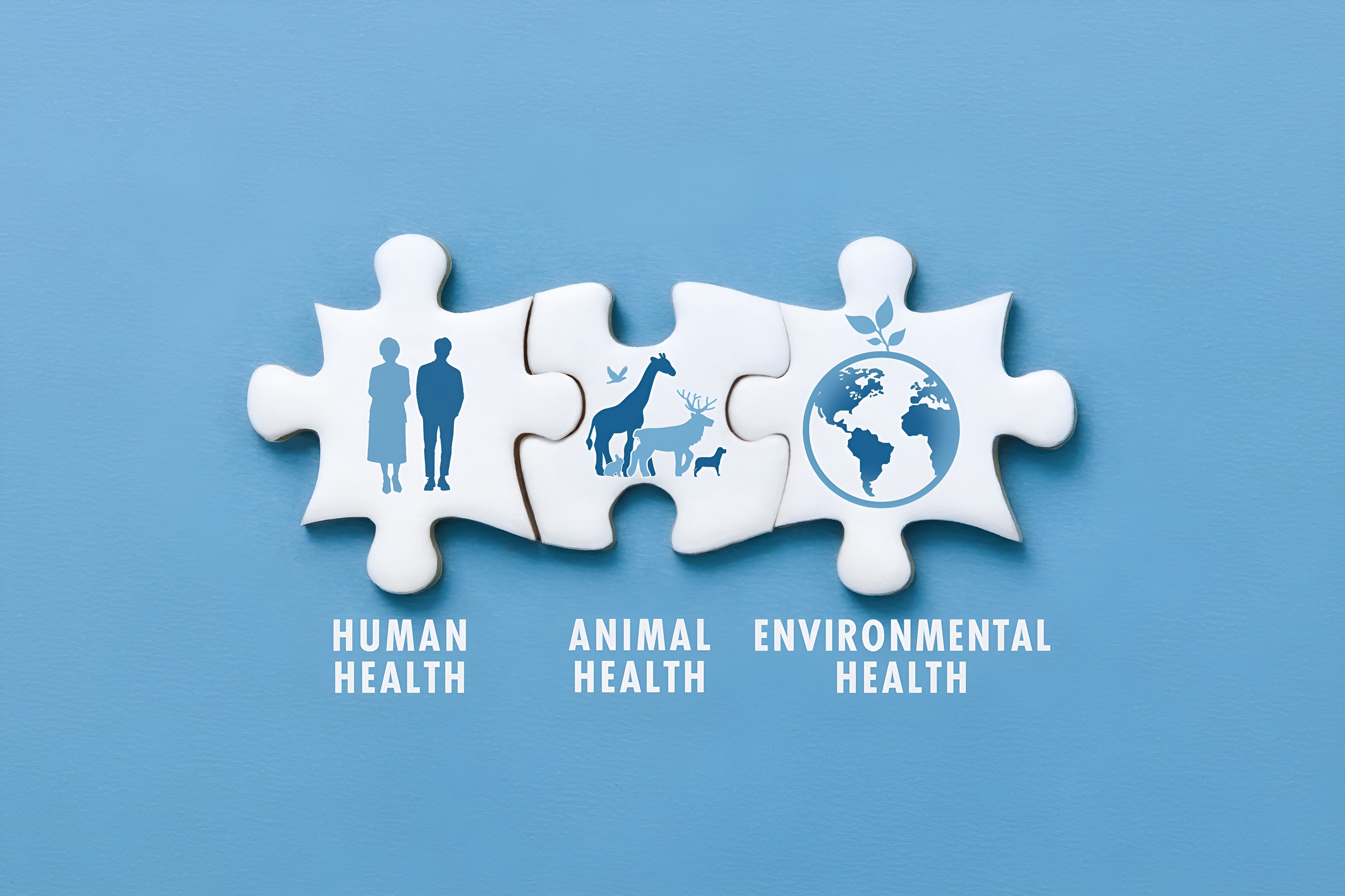 One Health: How Environmental Factors Fuel Antimicrobial Resistance