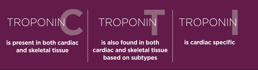 Differences between troponin I, troponin T, troponin C 