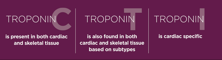 Differences between troponin I, troponin T, troponin C