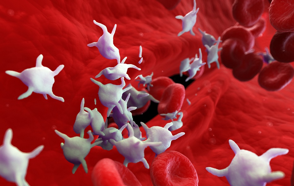 The Importance of Mean Platelet Volume