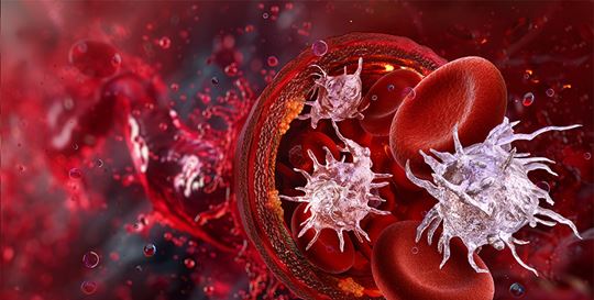 Mpv Operation The Value of Mean Platelet Volume (MPV) in Hematology