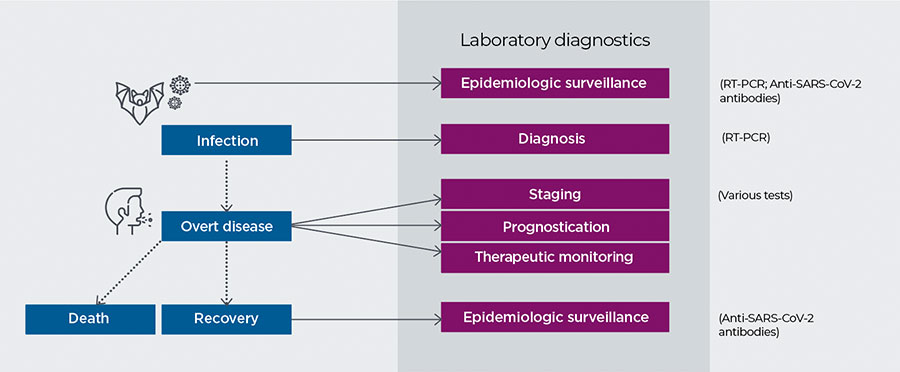 Stages in the COVID-19 care pathway and common IVD tests for each