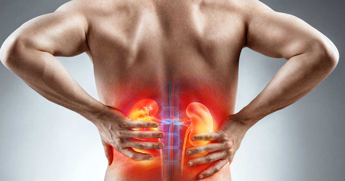Early Detection Of Chronic Kidney Disease Often Called A Silent Killer Beckman Coulter