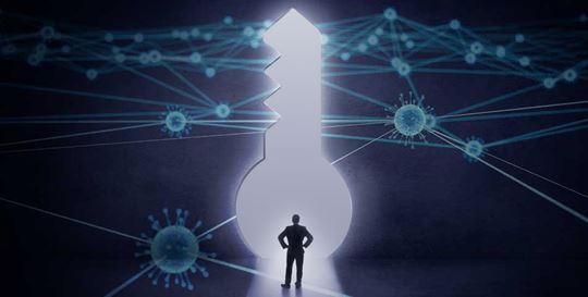 Three Common SARS-CoV-2 Antibody Testing Myths Debunked