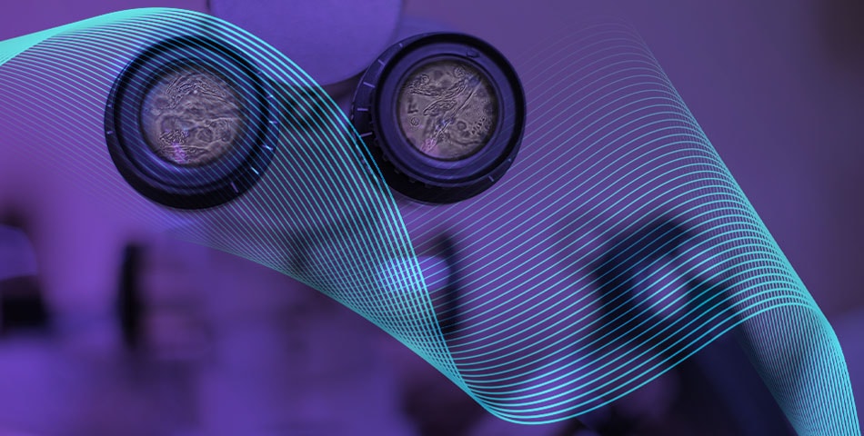 Unlocking Critical Insights: The Essential Role of Microscopy in Urinalysis