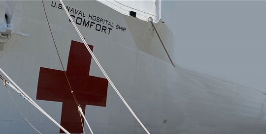 U.S. Navy to Deploy Floating Hospitals with Beckman Coulter Equipment on Board