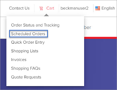 Set Up a New Scheduled Order