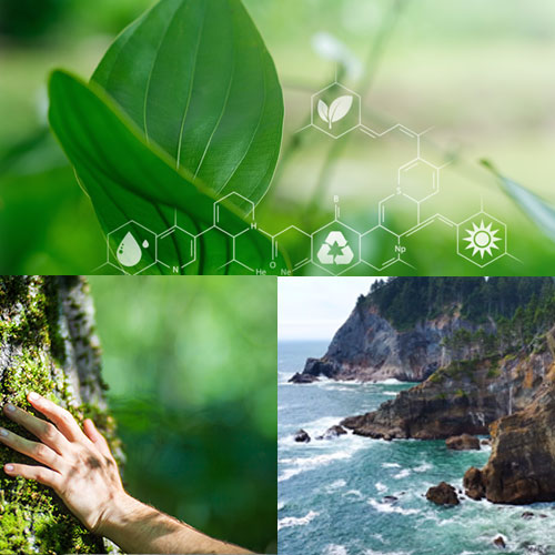 Sustainability Protecting