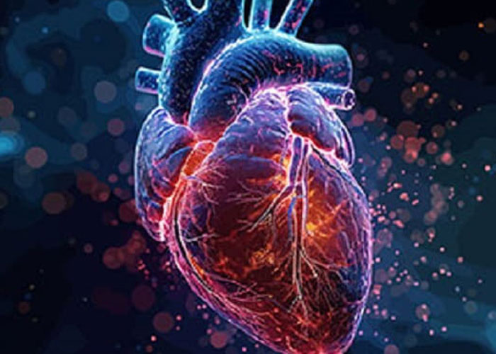 Cardiac