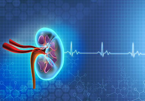 Chronic Kidney Disease: Prevalence, Risks and Strategies to Improve Diagnosis and Outcomes