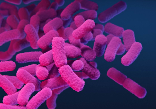 Carbapenem-Resistant Enterobacteriaceae Antibiotic Resistant Threat