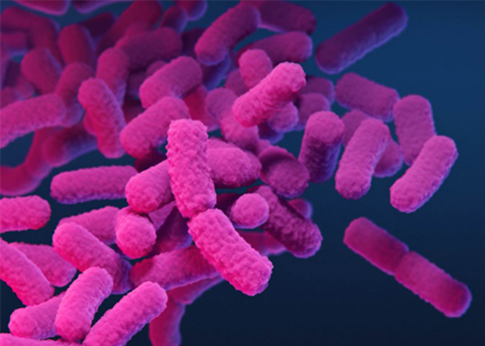 Carbapenem-Resistant Enterobacteriaceae antibiotic threat