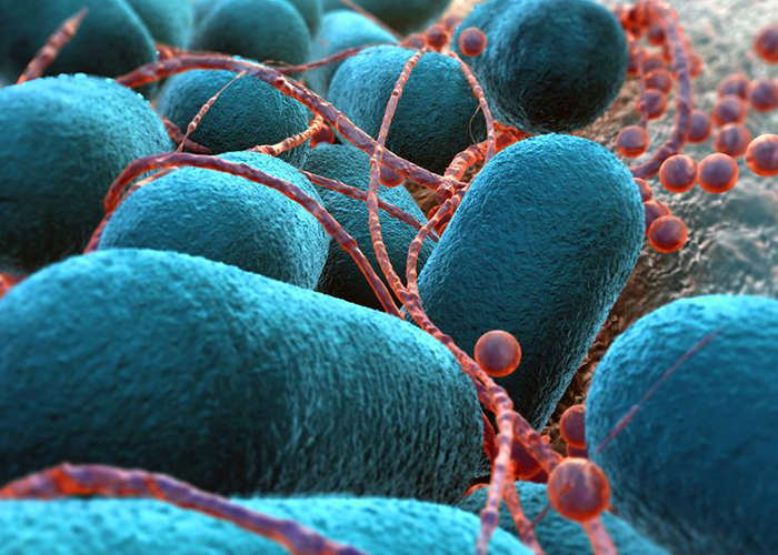 Emerging topics in antibiotic resistance