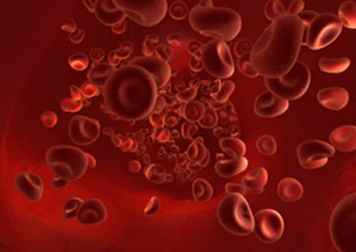 red blood cells