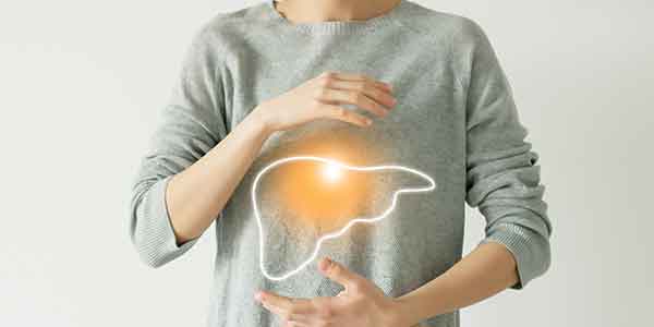 Person holds outline of liver organ to denote the impact hepatitis c can have on the liver
