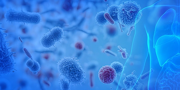 Host Response to Infection