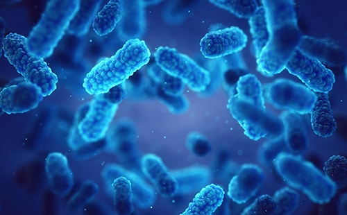 Event Page body 03-510x300-v1