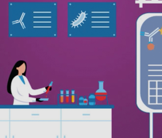 Immunoassay-Dicipline
