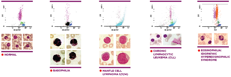CytoDiff-data-compared-cell-images