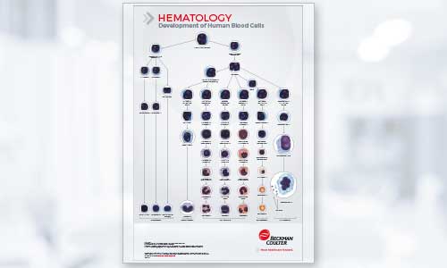 Hematology Analyzer Cell Development Poster 