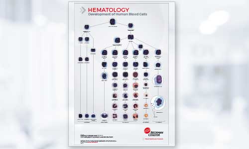 Hematology Cell Development Poster Hematology Analyzer Cell Development Poster