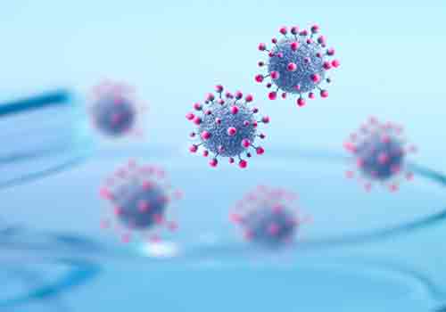 IgG Coronavirus bacteria