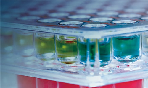 Paneles de microbiología