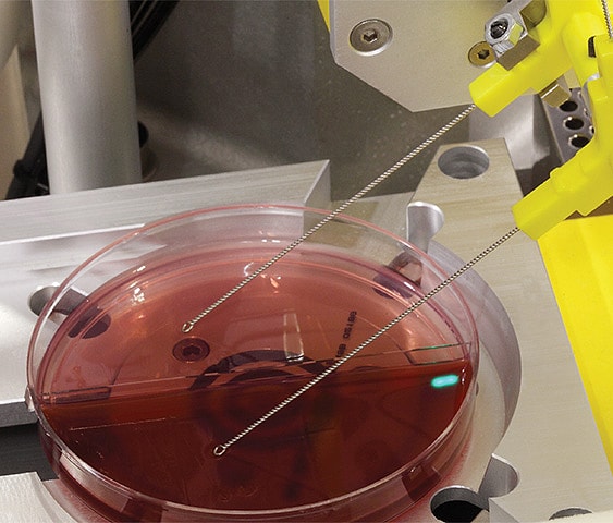 Copan WASP Walk-Away specimen processor dual streaking capability