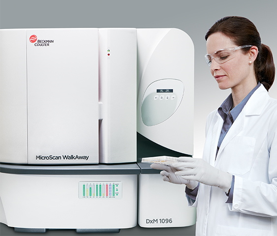 Woman in lab coat using Beckman Coulter MicroScan WalkAway DxM 1096 microbiology system