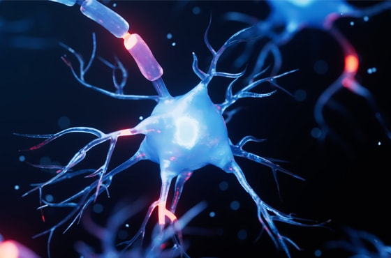 Neurology