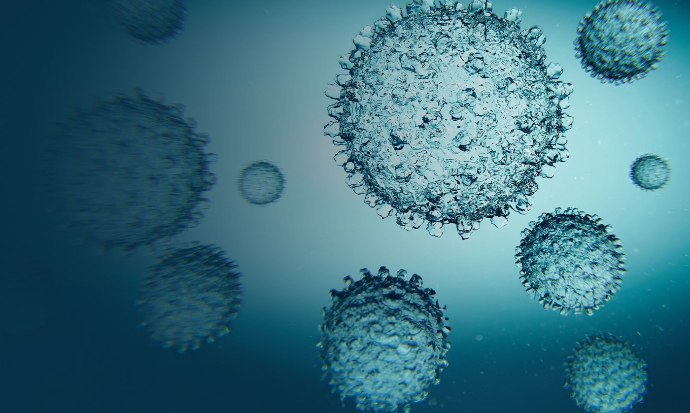 Banner del encabezado de IDBV